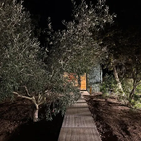 Nature And 木屋 Le Grau-dʼAgde